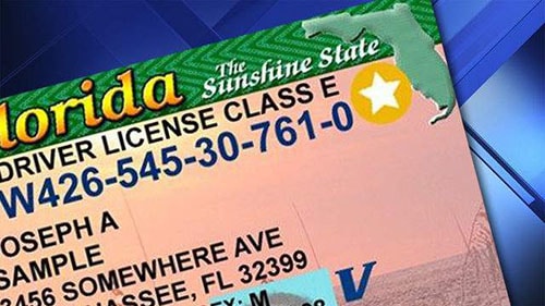 renovar licencia de de conducir en Florida